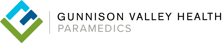 GVH PARAMEDICS logo
